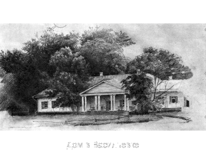 Дом в Васильевке 