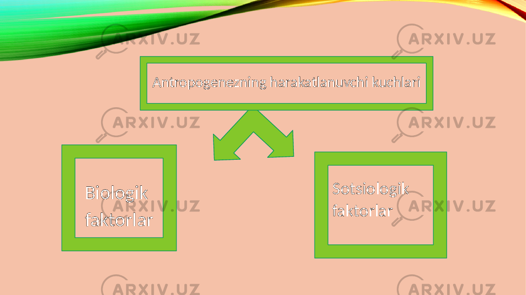 Antropogenezning harakatlanuvchi kuchlari Sotsiologik faktorlarBiologik faktorlar 