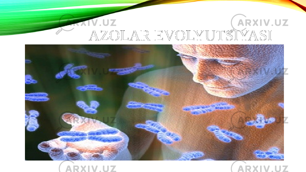 AZOLAR EVOLYUTSIYASI 