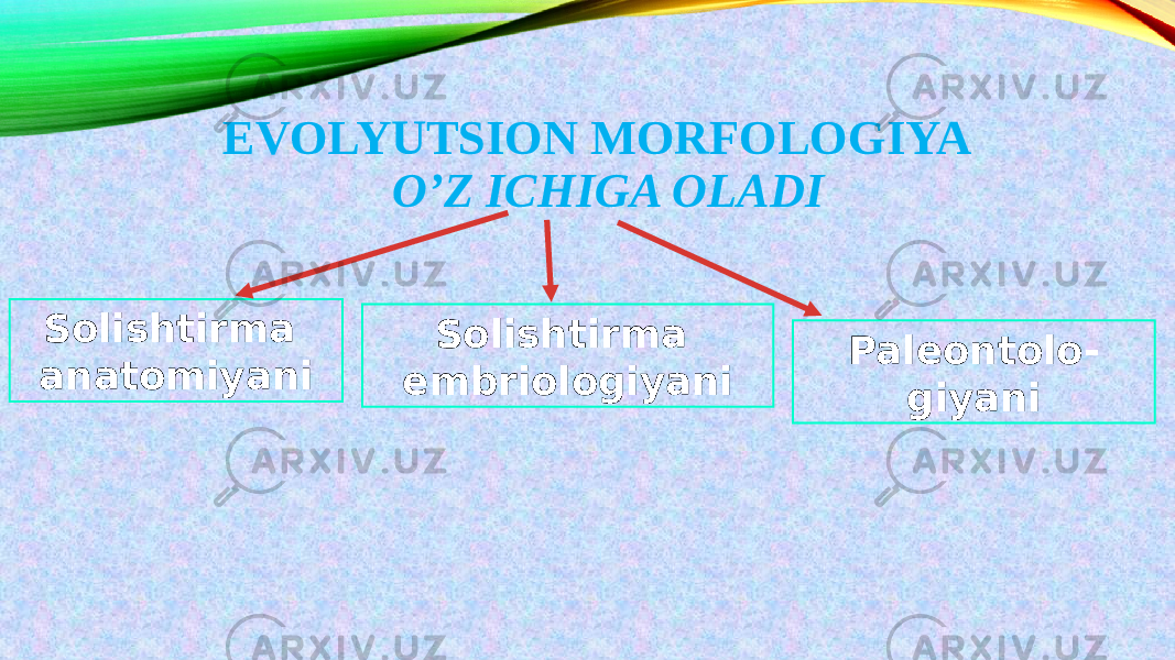 EVOLYUTSION MORFOLOGIYA O’Z ICHIGA OLADI Solishtirma anatomiyani Solishtirma embriologiyani Paleontolo- giyani 