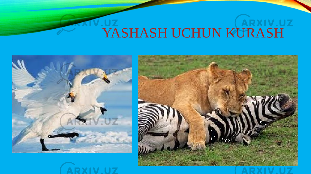 YASHASH UCHUN KURASH 