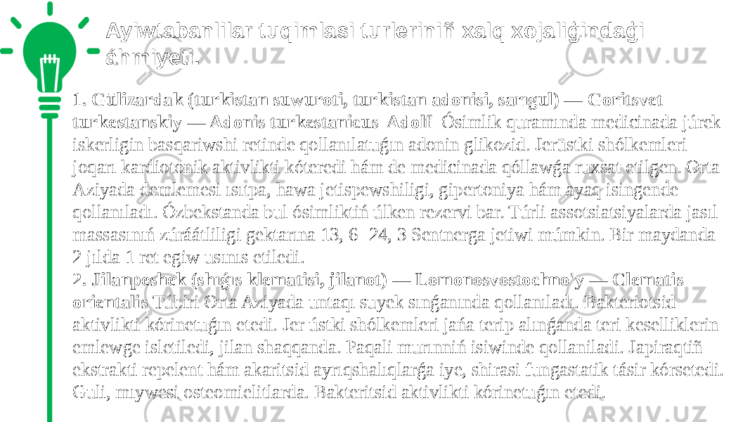 Ayiwtabanlilar tuqimlasi turleriniñ xalq xojaliģindaģi áhmiyeti. 1. Gūlizardak (turkistan suwuroti, turkistan adonisi, sarıgul) — Goritsvet turkestanskiy — Adonis turkestanicus Adolf Ósimlik quramında medicinada júrek iskerligin basqariwshi retinde qollanılatuǵın adonin glikozid. Jerūstki shólkemleri joqarı kardiotonik aktivlikti kóteredi hám de medicinada qóllawǵa ruxsat etilgen. Orta Aziyada demlemesi ısıtpa, hawa jetispewshiligi, gipertoniya hám ayaq isingende qollanıladı. Ózbekstanda bul ósimliktiń úlken rezervi bar. Túrli assotsiatsiyalarda jasıl massasınıń zúráátliligi gektarına 13, 6 -24, 3 Sentnerga jetiwi múmkin. Bir maydanda 2 jılda 1 ret egiw usınıs etiledi. 2. Jilanpeshek (shıǵıs klematisi, jilanot) — Lomonosvostochno&#39;y — Clematis orientalis Túbiri Orta Aziyada untaqı suyek sınǵanında qollanıladı. Bakteriotsid aktivlikti kórinetuǵın etedi. Jer ústki shólkemleri jańa terip alınǵanda teri keselliklerin emlewge isletiledi, jilan shaqqanda. Paqali murınniń isiwinde qollaniladi. Japiraqtiñ ekstrakti repelent hám akaritsid ayrıqshalıqlarǵa iye, shirasi fungastatik tásir kórsetedi. Guli, mıywesi osteomielitlarda. Bakteritsid aktivlikti kórinetuǵın etedi. 