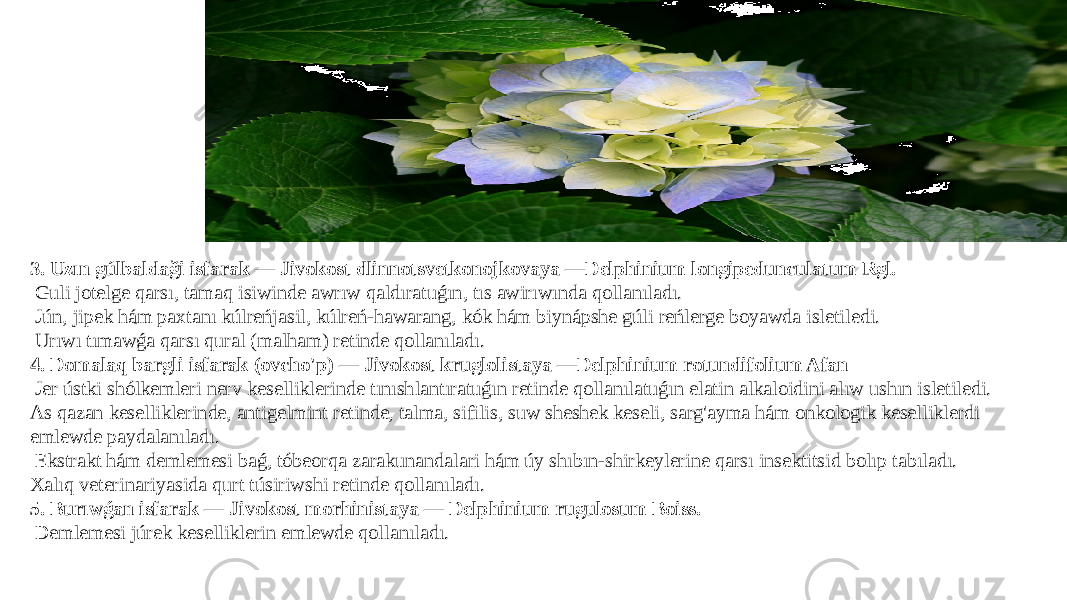3. Uzın gúlbaldaği isfarak — Jivokost dlinnotsvetkonojkovaya —Delphinium longipedunculatum Rgl. Guli jotelge qarsı, tamaq isiwinde awrıw qaldıratuǵın, tıs awirıwında qollanıladı. Jún, jipek hám paxtanı kúlreńjasil, kúlreń-hawarang, kók hám biynápshe gúli reńlerge boyawda isletiledi. Urıwı tımawǵa qarsı qural (malham) retinde qollanıladı. 4. Domalaq bargli isfarak (ovcho&#39;p) — Jivokost kruglolistaya —Delphinium rotundifolium Afan Jer ústki shólkemleri nerv keselliklerinde tınıshlantıratuǵın retinde qollanılatuǵın elatin alkaloidini alıw ushın isletiledi. As qazan keselliklerinde, antigelmint retinde, talma, sifilis, suw sheshek keseli, sarg&#39;ayma hám onkologik keselliklerdi emlewde paydalanıladı. Ekstrakt hám demlemesi baǵ, tóbeorqa zarakunandalari hám úy shıbın-shirkeylerine qarsı insektitsid bolıp tabıladı. Xalıq veterinariyasida qurt túsiriwshi retinde qollanıladı. 5. Burıwǵan isfarak — Jivokost morhinistaya — Delphinium rugulosum Boiss. Demlemesi júrek keselliklerin emlewde qollanıladı. 