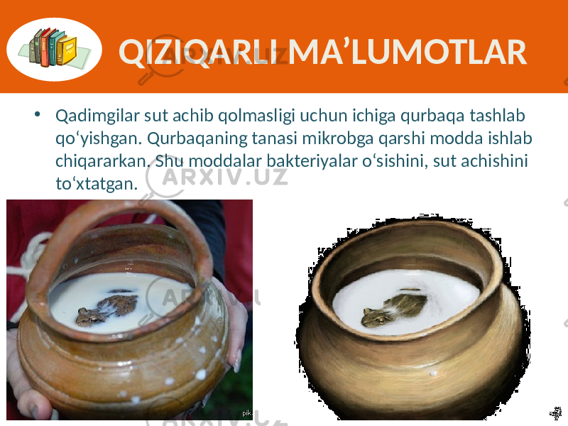 QIZIQARLI MA’LUMOTLAR • Qadimgilar sut  achib  qolmasligi  uchun  ichiga  qurbaqa  tashlab   qo‘yishgan.  Qurbaqaning  tanasi  mikrobga  qarshi  modda  ishlab   chiqararkan.  Shu  moddalar  bakteriyalar  o‘sishini,  sut  achishini   to‘xtatgan. 