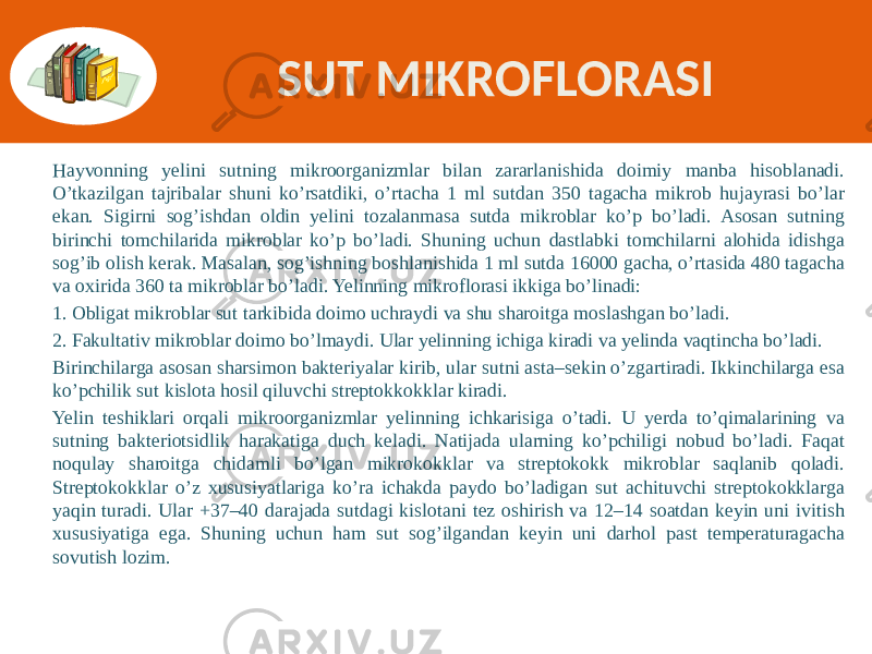 SUT MIKROFLORASI Hayvonning yelini sutning mikroorganizmlar bilan zararlanishida doimiy manba hisoblanadi. O’tkazilgan tajribalar shuni ko’rsatdiki, o’rtacha 1 ml sutdan 350 tagacha mikrob hujayrasi bo’lar ekan. Sigirni sog’ishdan oldin yelini tozalanmasa sutda mikroblar ko’p bo’ladi. Asosan sutning birinchi tomchilarida mikroblar ko’p bo’ladi. Shuning uchun dastlabki tomchilarni alohida idishga sog’ib olish kerak. Masalan, sog’ishning boshlanishida 1 ml sutda 16000 gacha, o’rtasida 480 tagacha va oxirida 360 ta mikroblar bo’ladi. Yelinning mikroflorasi ikkiga bo’linadi: 1. Obligat mikroblar sut tarkibida doimo uchraydi va shu sharoitga moslashgan bo’ladi. 2. Fakultativ mikroblar doimo bo’lmaydi. Ular yelinning ichiga kiradi va yelinda vaqtincha bo’ladi. Birinchilarga asosan sharsimon bakteriyalar kirib, ular sutni asta–sekin o’zgartiradi. Ikkinchilarga esa ko’pchilik sut kislota hosil qiluvchi streptokkokklar kiradi. Yelin teshiklari orqali mikroorganizmlar yelinning ichkarisiga o’tadi. U yerda to’qimalarining va sutning bakteriotsidlik harakatiga duch keladi. Natijada ularning ko’pchiligi nobud bo’ladi. Faqat noqulay sharoitga chidamli bo’lgan mikrokokklar va streptokokk mikroblar saqlanib qoladi. Streptokokklar o’z xususiyatlariga ko’ra ichakda paydo bo’ladigan sut achituvchi streptokokklarga yaqin turadi. Ular +37–40 darajada sutdagi kislotani tez oshirish va 12–14 soatdan keyin uni ivitish xususiyatiga ega. Shuning uchun ham sut sog’ilgandan keyin uni darhol past temperaturagacha sovutish lozim. 