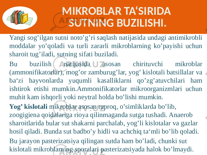 MIKROBLAR TA‘SIRIDA SUTNING BUZILISHI. Yangi sog’ilgan sutni noto’g’ri saqlash natijasida undagi antimikrobli moddalar yo’qoladi va turli zararli mikroblarning ko’payishi uchun sharoit tug’iladi, sutning sifati buziladi. Bu buzilish natijasida asosan chirituvchi mikroblar (ammonifikatorlar), mog’or zamburug’lar, yog’ kislotali batsillalar va ba‘zi hayvonlarda yuqumli kasalliklarni qo’zg’atuvchilari ham ishtirok etishi mumkin.Ammonifikatorlar mikroorganizmlari uchun muhit kam ishqorli yoki neytral holda bo’lishi mumkin. Yog’ kislotali mikroblar asosan tuproq, o’simliklarda bo’lib, zoogigiena qoidalariga rioya qilinmaganda sutga tushadi. Anaerob sharoitlarida bular sut shakarni parchalab, yog’li kislotalar va gazlar hosil qiladi. Bunda sut badbo’y hidli va achchiq ta‘mli bo’lib qoladi. Bu jarayon pasterizatsiya qilingan sutda ham bo’ladi, chunki sut kislotali mikroblarning sporalari pasterizatsiyada halok bo’lmaydi. 