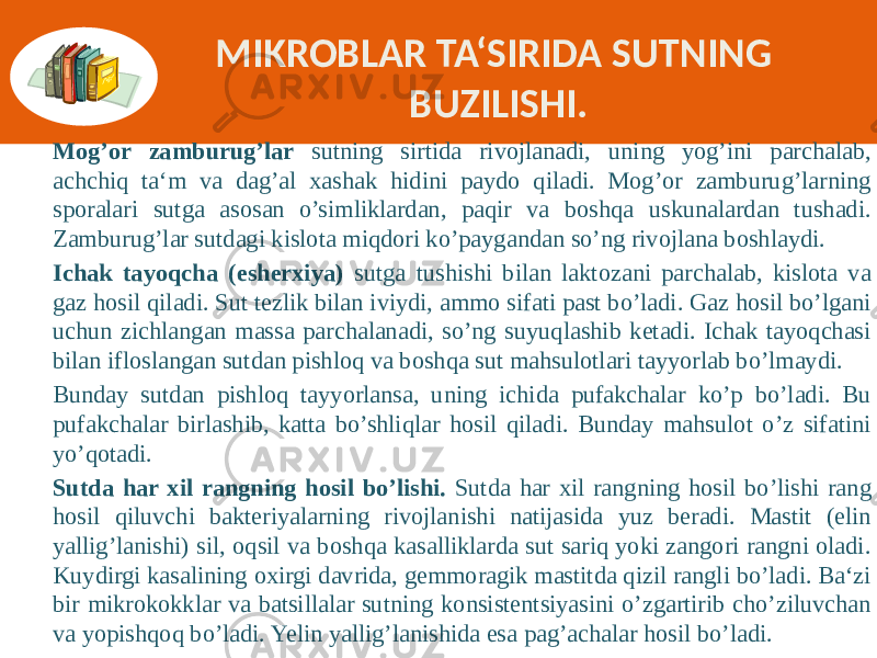 MIKROBLAR TA‘SIRIDA SUTNING BUZILISHI. Mog’or zamburug’lar sutning sirtida rivojlanadi, uning yog’ini parchalab, achchiq ta‘m va dag’al xashak hidini paydo qiladi. Mog’or zamburug’larning sporalari sutga asosan o’simliklardan, paqir va boshqa uskunalardan tushadi. Zamburug’lar sutdagi kislota miqdori ko’paygandan so’ng rivojlana boshlaydi. Ichak tayoqcha (esherxiya) sutga tushishi bilan laktozani parchalab, kislota va gaz hosil qiladi. Sut tezlik bilan iviydi, ammo sifati past bo’ladi. Gaz hosil bo’lgani uchun zichlangan massa parchalanadi, so’ng suyuqlashib ketadi. Ichak tayoqchasi bilan ifloslangan sutdan pishloq va boshqa sut mahsulotlari tayyorlab bo’lmaydi. Bunday sutdan pishloq tayyorlansa, uning ichida pufakchalar ko’p bo’ladi. Bu pufakchalar birlashib, katta bo’shliqlar hosil qiladi. Bunday mahsulot o’z sifatini yo’qotadi. Sutda har xil rangning hosil bo’lishi. Sutda har xil rangning hosil bo’lishi rang hosil qiluvchi bakteriyalarning rivojlanishi natijasida yuz beradi. Mastit (elin yallig’lanishi) sil, oqsil va boshqa kasalliklarda sut sariq yoki zangori rangni oladi. Kuydirgi kasalining oxirgi davrida, gemmoragik mastitda qizil rangli bo’ladi. Ba‘zi bir mikrokokklar va batsillalar sutning konsistentsiyasini o’zgartirib cho’ziluvchan va yopishqoq bo’ladi. Yelin yallig’lanishida esa pag’achalar hosil bo’ladi. 