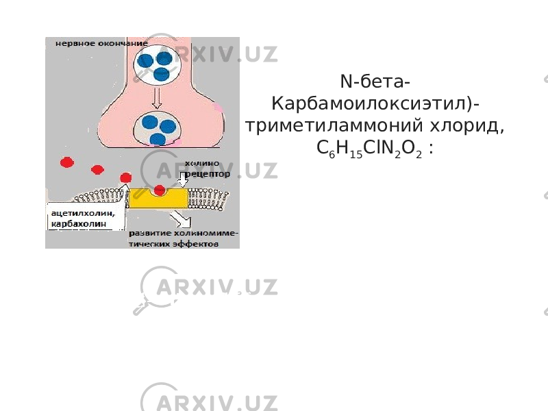 N-бета- Карбамоилоксиэтил)- триметиламмоний хлорид, C 6 H 15 ClN 2 O 2  : 