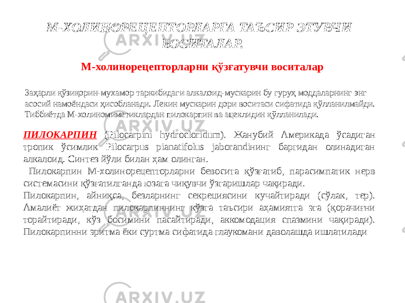 М-ХОЛИНОРЕЦЕПТОРЛАРГА ТАЪСИР ЭТУВЧИ ВОСИТАЛАР. М-холинорецепторларни қўзғатувчи воситалар Заҳарли қўзиқорин-мухамор таркибидаги алкалоид-мускарин бу гуруҳ моддаларнинг энг асосий намоёндаси ҳисобланади. Лекин мускарин дори воситаси сифатида қўлланилмайди. Тиббиётда М-холиномиметиклардан пилокарпин ва ацеклидин қўлланилади. ПИЛОКАРПИН (Pilocarpini hydrocloridum). Жанубий Америкада ўсадиган тропик ўсимлик Pilocarpus pianatifolus jaborandiнинг баргидан олинадиган алкалоид. Синтез йўли билан ҳам олинган. Пилокарпин М-холинорецепторларни бевосита қўзғатиб, парасимпатик нерв системасини қўзғатилганда юзага чиқувчи ўзгаришлар чақиради. Пилокарпин, айниқса, безларнинг секрециясини кучайтиради (сўлак, тер). Амалиёт жиҳатдан пилокарпиннинг кўзга таъсири аҳамиятга эга (қорачиғни торайтиради, кўз босимини пасайтиради, аккомодация спазмини чақиради). Пилокарпинни эритма ёки суртма сифатида глаукомани даволашда ишлатилади 