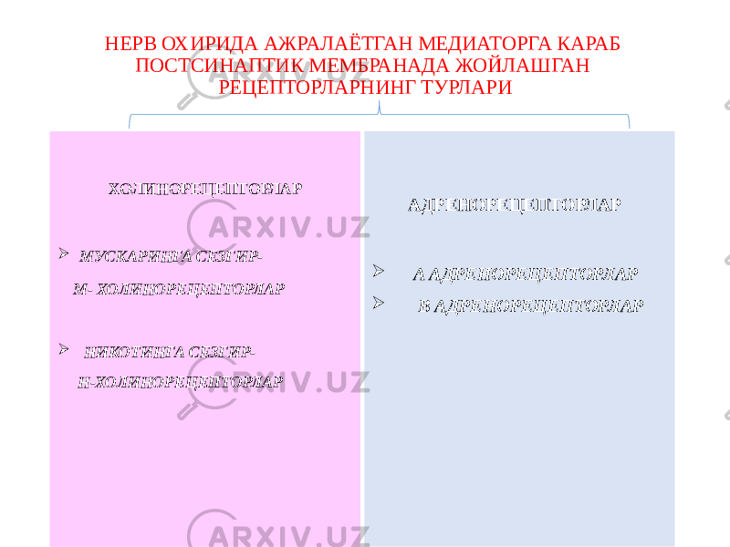 ХОЛИНОРЕЦЕПТОРЛАР  МУСКАРИНГА СЕЗГИР- М- ХОЛИНОРЕЦЕПТОРЛАР  НИКОТИНГА СЕЗГИР- Н-ХОЛИНОРЕЦЕПТОРЛАР АДРЕНОРЕЦЕПТОРЛАР  Α АДРЕНОРЕЦЕПТОРЛАР  Β АДРЕНОРЕЦЕПТОРЛАРНЕРВ ОХИРИДА АЖРАЛАЁТГАН МЕДИАТОРГА КАРАБ ПОСТСИНАПТИК МЕМБРАНАДА ЖОЙЛАШГАН РЕЦЕПТОРЛАРНИНГ ТУРЛАРИ 