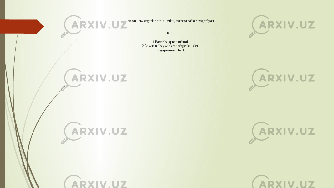 As sin’iriw organlarinin’ du’zilisi, formasi ha’m topografiyasi Reje: 1.Bawir haqqinda tu’sinik. 2.Bawirdin’ haywanlarda o’zgeshelikleri. 3.Asqazan asti bezi. 