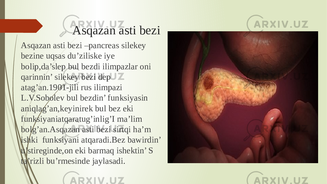 Asqazan asti bezi Asqazan asti bezi –pancreas silekey bezine uqsas du’ziliske iye bolip,da’slep bul bezdi ilimpazlar oni qarinnin’ silekey bezi dep atag’an.1901-jili rus ilimpazi L.V.Sobolev bul bezdin’ funksiyasin aniqlag’an,keyinirek bul bez eki funksiyaniatqaratug’inlig’I ma’lim bolg’an.Asqazan asti bezi sirtqi ha’m ishki funksiyani atqaradi.Bez bawirdin’ u’stireginde,on eki barmaq ishektin’ S ta’rizli bu’rmesinde jaylasadi. 