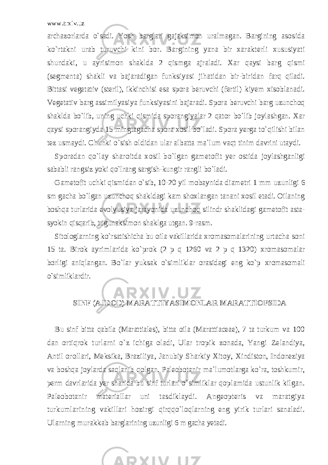 www.arxiv.uz archazorlarda o`sadi. Yosh barglari gajaksimon uralmagan. Bargining asosida ko`rtakni urab turuvchi kini bor. Bargining yana bir xarakterli xususiyati shundaki, u ayrisimon shaklda 2 qismga ajraladi. Xar qaysi barg qismi (segmenta) shakli va bajaradigan funksiyasi jihatidan bir-biridan farq qiladi. Bittasi vegetativ (steril), ikkinchisi esa spora beruvchi (fertil) kiyem xisoblanadi. Vegetativ barg assimilyasiya funksiyasini bajaradi. Spora beruvchi barg uzunchoq shaklda bo`lib, uning uchki qismida sporangiyalar 2 qator bo`lib joylashgan. Xar qaysi sporangiyda 15 mingtagacha spora xosil bo`ladi. Spora yerga to`qilishi bilan tez usmaydi. Chunki o`sish oldidan ular albatta ma`lum vaqt tinim davrini utaydi. Sporadan qo`lay sharoitda xosil bo`lgan gametofit yer ostida joylashganligi sababli rangsiz yoki qo`lrang sargish-kungir rangli bo`ladi. Gametofit uchki qismidan o`sib, 10-20 yil mobaynida diametri 1 mm uzunligi 6 sm gacha bo`lgan uzunchoq shakldagi kam shoxlangan tanani xosil etadi. Oilaning boshqa turlarida evolyusiya jarayonida uzunchoq silindr shaklidagi gametofit asta- syokin qisqarib, tugunaksimon shaklga utgan. 9-rasm. Sitologlarning ko`rsatishicha bu oila vakillarida xromasomalarining urtacha soni 15 ta. Birok ayrimlarida ko`prok (2 p q 1260 va 2 p q 1320) xromasomalar borligi aniqlangan. Bo`lar yuksak o`simliklar orasidagi eng ko`p xromasomali o`simliklardir. SINF (AJDOD) MARATTIYASIMONLAR MARATTIOPSIDA Bu sinf bitta qabila (Marattiales), bitta oila (Marattiaceae), 7 ta turkum va 100 dan ortiqrok turlarni o`z ichiga oladi, Ular tropik zonada, Yangi Zelandiya, Antil orollari, Meksika, Braziliya, Janubiy Sharkiy Xitoy, Xindiston, Indoneziya va boshqa joylarda saqlanib qolgan. Paleobotanir ma`lumotlarga ko`ra, toshkumir, perm davrlarida yer sharida bu sinf turlari o`simliklar qoplamida ustunlik kilgan. Paleobotanir materiallar uni tasdiklaydi. Angeopteris va maratgiya turkumlarining vakillari hozirgi qirqqo`loqlarning eng yirik turlari sanaladi. Ularning murakkab barglarining uzunligi 6 m gacha yetadi. 