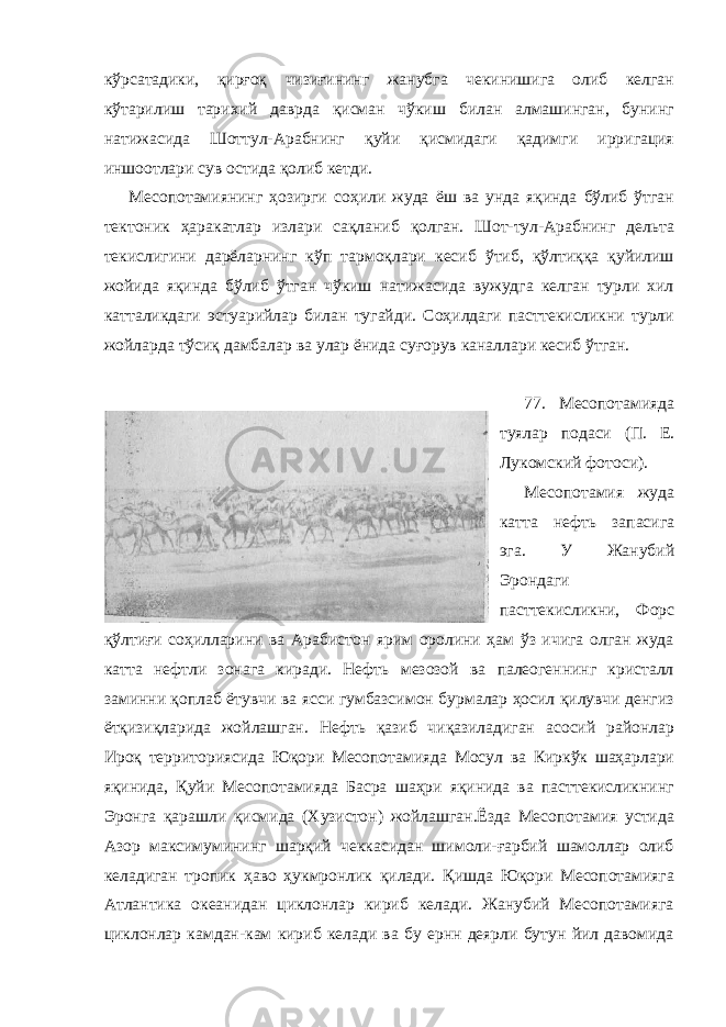 кўрсатадики, қирғоқ чизиғининг жанубга чекинишига олиб келган кўтарилиш тарихий даврда қисман чўкиш билан алмашинган, бунинг натижасида Шоттул-Арабнинг қуйи қисмидаги қадимги ирригация иншоотлари сув остида қолиб кетди. Месопотамиянинг ҳозирги соҳили жуда ёш ва унда яқинда бўлиб ўтган тектоник ҳаракатлар излари сақланиб қолган. Шот-тул-Арабнинг дельта текислигини дарёларнинг кўп тармоқлари кесиб ўтиб, қўлтиққа қуйилиш жойида яқинда бўлиб ўтган чўкиш натижасида вужудга келган турли хил катталикдаги эстуарийлар билан тугайди. Соҳилдаги пасттекисликни турли жойларда тўсиқ дамбалар ва улар ёнида суғорув каналлари кесиб ўтган. 77. Месопотамияда туялар подаси (П. Е. Лукомский фотоси). Месопотамия жуда катта нефть запасига эга. У Жанубий Эрондаги пасттекисликни, Форс қўлтиғи соҳилларини ва Арабистон ярим оролини ҳам ўз ичига олган жуда катта нефтли зонага киради. Нефть мезозой ва палеогеннинг кристалл заминни қоплаб ётувчи ва ясси гумбазсимон бурмалар ҳосил қилувчи денгиз ётқизиқларида жойлашган. Нефть қазиб чиқазиладиган асосий районлар Ироқ территориясида Юқори Месопотамияда Мосул ва Киркўк шаҳарлари яқинида, Қуйи Месопотамияда Басра шаҳри яқинида ва пасттекисликнинг Эронга қарашли қисмида (Хузистон) жойлашган.Ёзда Месопотамия устида Азор максимумининг шарқий чеккасидан шимоли-ғарбий шамоллар олиб келадиган тропик ҳаво ҳукмронлик қилади. Қишда Юқори Месопотамияга Атлантика океанидан циклонлар кириб келади. Жанубий Месопотамияга циклонлар камдан-кам кириб келади ва бу ернн деярли бутун йил давомида 