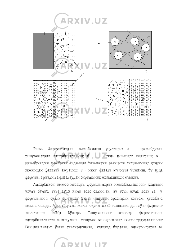 Расм. Ферментларни иммобиллаш усуллари: а - эримайдиган ташувчиларда адсорбцияланиш; б - гель порасига киритиш; в - яримўтказгич мембрана ёрдамида ферментни реакцион системанинг қ олган хажмидан фазовий ажратиш; г - икки фазали му ҳ итга ўтказиш, бу ерда фермент эрийди ва фазалардан биридагина жойлашиши мумкин. Адсорбцион иммобилизация ферментларни иммобиллашнинг қ адимги усули бўлиб, унга 1916 йили асос солинган. Бу усул жуда осон ва у ферментнинг сувли эритмаси билан ташувчи орасидаги контакт ҳ исобига амалга ошади. Адсорбцияланмаган о қ сил ювиб ташлангандан сўнг фермент ишлатишга тайёр бўлади. Ташувчининг юзасида ферментнинг адсорбцияланган молекуласи ташувчи ва о қ силнинг юзаки гуру ҳ ларининг Ван-дер-ваальс ўзаро таъсирлашуви, водород бо ғ лари, электростатик ва 