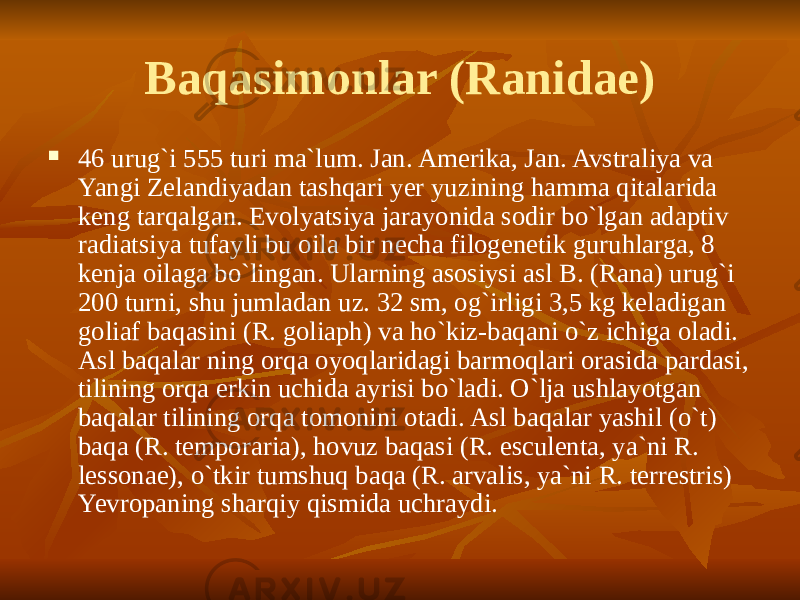 Baqasimonlar (Ranidae)  46 urug`i 555 turi ma`lum. Jan. Amerika, Jan. Avstraliya va Yangi Zelandiyadan tashqari yer yuzining hamma qitalarida keng tarqalgan. Evolyatsiya jarayonida sodir bo`lgan adaptiv radiatsiya tufayli bu oila bir necha filogenetik guruhlarga, 8 kenja oilaga bo`lingan. Ularning asosiysi asl B. (Rana) urug`i 200 turni, shu jumladan uz. 32 sm, og`irligi 3,5 kg keladigan goliaf baqasini (R. goliaph) va ho`kiz-baqani o`z ichiga oladi. Asl baqalar ning orqa oyoqlaridagi barmoqlari orasida pardasi, tilining orqa erkin uchida ayrisi bo`ladi. O`lja ushlayotgan baqalar tilining orqa tomonini otadi. Asl baqalar yashil (o`t) baqa (R. temporaria), hovuz baqasi (R. esculenta, ya`ni R. lessonae), o`tkir tumshuq baqa (R. arvalis, ya`ni R. terrestris) Yevropaning sharqiy qismida uchraydi. 