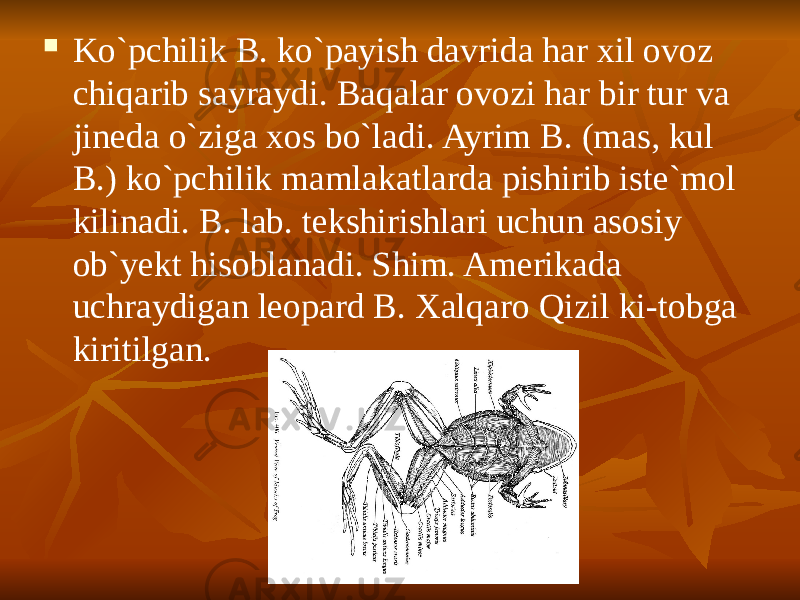  Ko`pchilik B. ko`payish davrida har xil ovoz chiqarib sayraydi. Baqalar ovozi har bir tur va jineda o`ziga xos bo`ladi. Ayrim B. (mas, kul B.) ko`pchilik mamlakatlarda pishirib iste`mol kilinadi. B. lab. tekshirishlari uchun asosiy ob`yekt hisoblanadi. Shim. Amerikada uchraydigan leopard B. Xalqaro Qizil ki-tobga kiritilgan. 