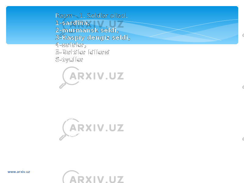 Rasm – 1. Seldlar oilasi. 1-sardina, 2-murmansk seldi, 3-Kaspiy dengiz seldi, 4-salaka, 5-Baltika kilkasi 6-tyulka www.arxiv.uz 