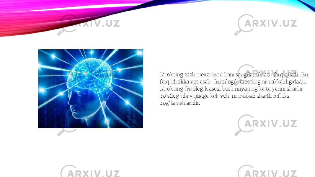 Idrokning asab mexanizmi ham sezgilarnikidan farq qiladi. Bu farq idrokka xos asab–fizioilogik asosning murakkabligidadir. Idrokning fiziologik asosi bosh miyaning katta yarim sharlar po’stlog’ida vujudga keluvchi murakkab shartli refleks bog’lanishlaridir. 