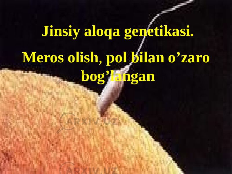 Jinsiy aloqa genetikasi. Meros olish , pol bilan o’zaro bog’langan 