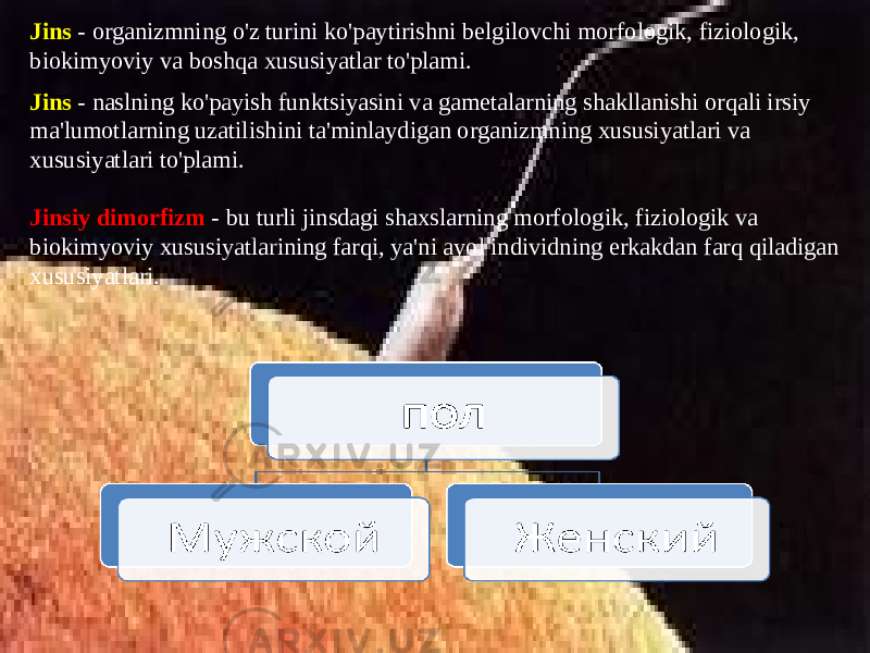 Jins - organizmning o&#39;z turini ko&#39;paytirishni belgilovchi morfologik, fiziologik, biokimyoviy va boshqa xususiyatlar to&#39;plami. Jins - naslning ko&#39;payish funktsiyasini va gametalarning shakllanishi orqali irsiy ma&#39;lumotlarning uzatilishini ta&#39;minlaydigan organizmning xususiyatlari va xususiyatlari to&#39;plami. Jinsiy dimorfizm - bu turli jinsdagi shaxslarning morfologik, fiziologik va biokimyoviy xususiyatlarining farqi, ya&#39;ni ayol individning erkakdan farq qiladigan xususiyatlari. 