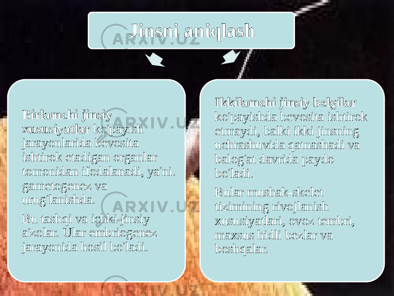 Jinsni aniqlash Ikkilamchi jinsiy belgilar ko&#39;payishda bevosita ishtirok etmaydi, balki ikki jinsning uchrashuvida qatnashadi va balog&#39;at davrida paydo bo&#39;ladi. Bular mushak-skelet tizimining rivojlanish xususiyatlari, ovoz tembri, maxsus hidli bezlar va boshqalar.Birlamchi jinsiy xususiyatlar ko&#39;payish jarayonlarida bevosita ishtirok etadigan organlar tomonidan ifodalanadi, ya&#39;ni. gametogenez va urug&#39;lanishda. Bu tashqi va ichki jinsiy a&#39;zolar. Ular embriogenez jarayonida hosil bo&#39;ladi. 