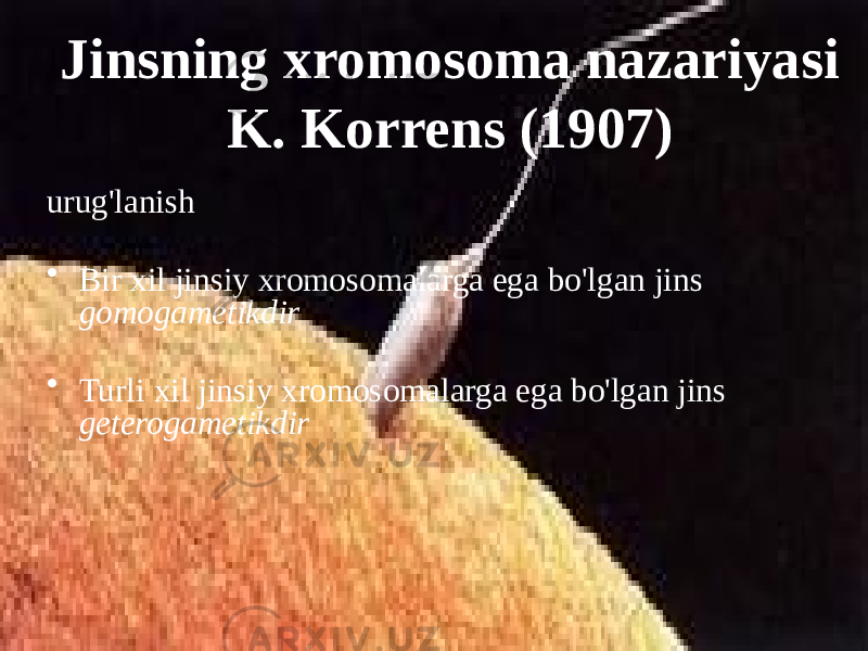 Jinsning xromosoma nazariyasi K. Korrens (1907) urug&#39;lanish • Bir xil jinsiy xromosomalarga ega bo&#39;lgan jins gomogametikdir • Turli xil jinsiy xromosomalarga ega bo&#39;lgan jins geterogametikdir 