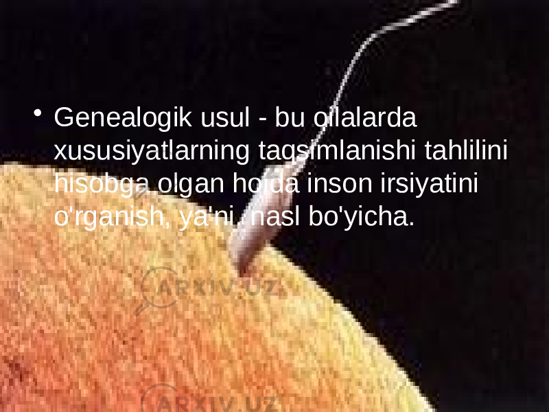 • Genealogik usul - bu oilalarda xususiyatlarning taqsimlanishi tahlilini hisobga olgan holda inson irsiyatini o&#39;rganish, ya&#39;ni. nasl bo&#39;yicha. 