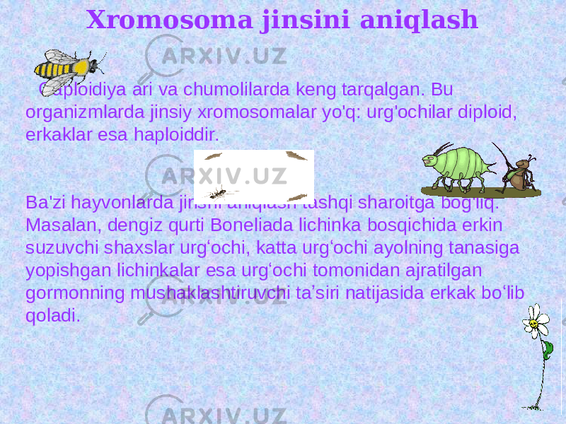 Xromosoma jinsini aniqlash Gaploidiya ari va chumolilarda keng tarqalgan. Bu organizmlarda jinsiy xromosomalar yo&#39;q: urg&#39;ochilar diploid, erkaklar esa haploiddir. Ba&#39;zi hayvonlarda jinsni aniqlash tashqi sharoitga bog&#39;liq. Masalan, dengiz qurti Boneliada lichinka bosqichida erkin suzuvchi shaxslar urgʻochi, katta urgʻochi ayolning tanasiga yopishgan lichinkalar esa urgʻochi tomonidan ajratilgan gormonning mushaklashtiruvchi taʼsiri natijasida erkak boʻlib qoladi. 