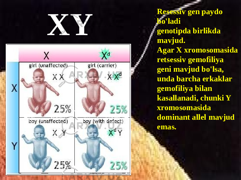 XY Resessiv gen paydo bo&#39;ladi genotipda birlikda mavjud. Agar X xromosomasida retsessiv gemofiliya geni mavjud bo&#39;lsa, unda barcha erkaklar gemofiliya bilan kasallanadi, chunki Y xromosomasida dominant allel mavjud emas. 