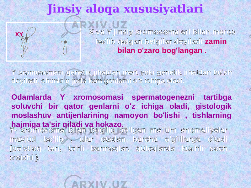 Jinsiy aloqa xususiyatlari X va Y jinsiy xromosomalari bilan meros bo&#39;lib qolgan belgilar deyiladi zamin bilan o&#39;zaro bog&#39;langan . Y xromosomasi genetik jihatdan inert yoki genetik jihatdan bo&#39;sh deyiladi, chunki u juda kam genlarni o&#39;z ichiga oladi. Odamlarda Y xromosomasi spermatogenezni tartibga soluvchi bir qator genlarni o&#39;z ichiga oladi, gistologik moslashuv antijenlarining namoyon bo&#39;lishi , tishlarning hajmiga ta&#39;sir qiladi va hokazo. Y- xromosoma bilan bog&#39;liq bo&#39;lgan ma&#39;lum anomaliyalar mavjud bo&#39;lib , ular otadan barcha o&#39;g&#39;illarga o&#39;tadi (po&#39;stloq teri, to&#39;rli barmoqlar, quloqlarda kuchli soch o&#39;sishi ). Y XY 