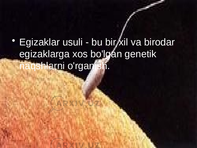 • Egizaklar usuli - bu bir xil va birodar egizaklarga xos bo&#39;lgan genetik naqshlarni o&#39;rganish. 