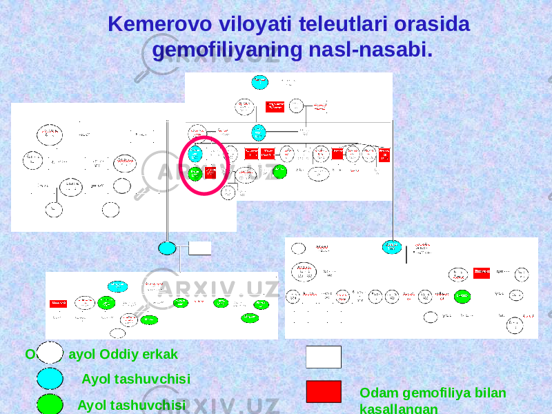 Kemerovo viloyati teleutlari orasida gemofiliyaning nasl-nasabi. Oddiy ayol Oddiy erkak Ayol tashuvchisi Ayol tashuvchisi Odam gemofiliya bilan kasallangan 