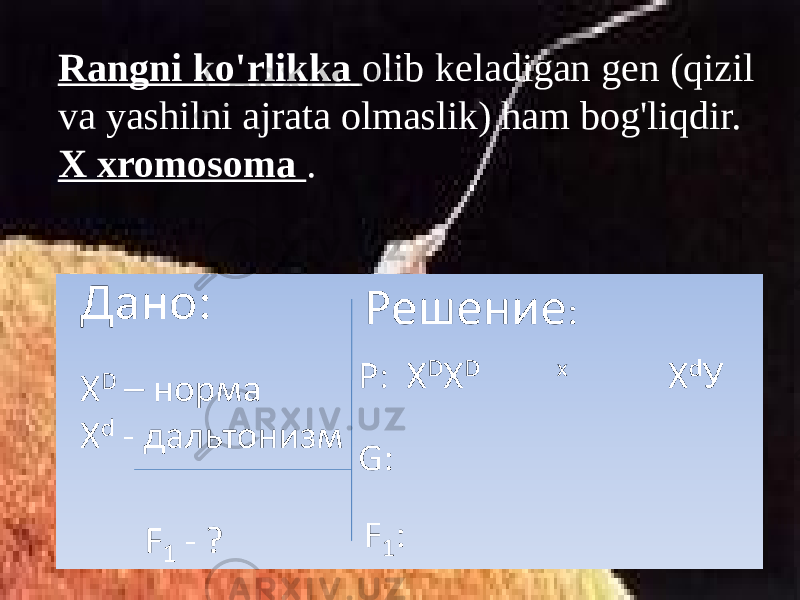 Rangni ko&#39;rlikka olib keladigan gen (qizil va yashilni ajrata olmaslik) ham bog&#39;liqdir. X xromosoma . 