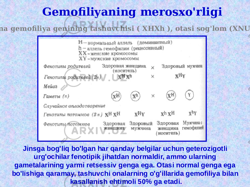 Gemofiliyaning merosxo&#39;rligi Ona gemofiliya genining tashuvchisi ( XHXh ), otasi sog&#39;lom (XNU). Jinsga bog&#39;liq bo&#39;lgan har qanday belgilar uchun geterozigotli urg&#39;ochilar fenotipik jihatdan normaldir, ammo ularning gametalarining yarmi retsessiv genga ega. Otasi normal genga ega bo&#39;lishiga qaramay, tashuvchi onalarning o&#39;g&#39;illarida gemofiliya bilan kasallanish ehtimoli 50% ga etadi. 