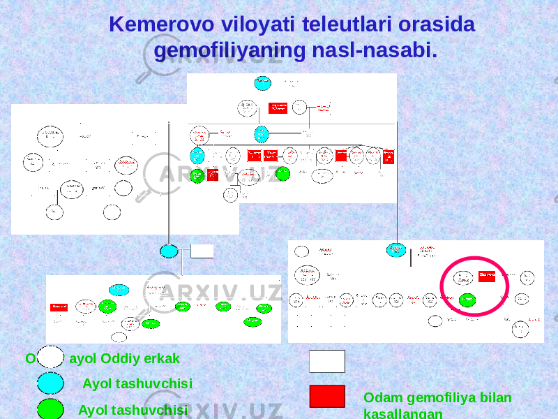 Kemerovo viloyati teleutlari orasida gemofiliyaning nasl-nasabi. Oddiy ayol Oddiy erkak Ayol tashuvchisi Ayol tashuvchisi Odam gemofiliya bilan kasallangan 