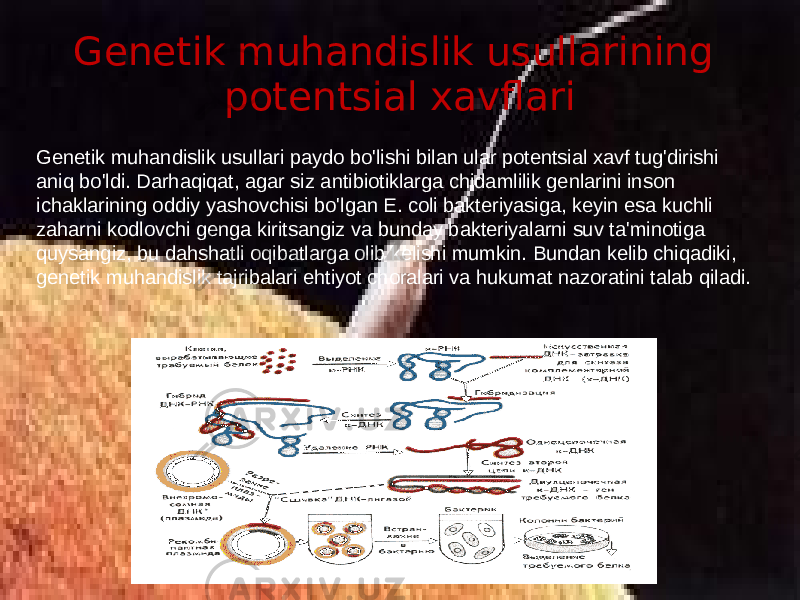 Genetik muhandislik usullarining potentsial xavflari Genetik muhandislik usullari paydo bo&#39;lishi bilan ular potentsial xavf tug&#39;dirishi aniq bo&#39;ldi. Darhaqiqat, agar siz antibiotiklarga chidamlilik genlarini inson ichaklarining oddiy yashovchisi bo&#39;lgan E. coli bakteriyasiga, keyin esa kuchli zaharni kodlovchi genga kiritsangiz va bunday bakteriyalarni suv ta&#39;minotiga quysangiz, bu dahshatli oqibatlarga olib kelishi mumkin. Bundan kelib chiqadiki, genetik muhandislik tajribalari ehtiyot choralari va hukumat nazoratini talab qiladi. 