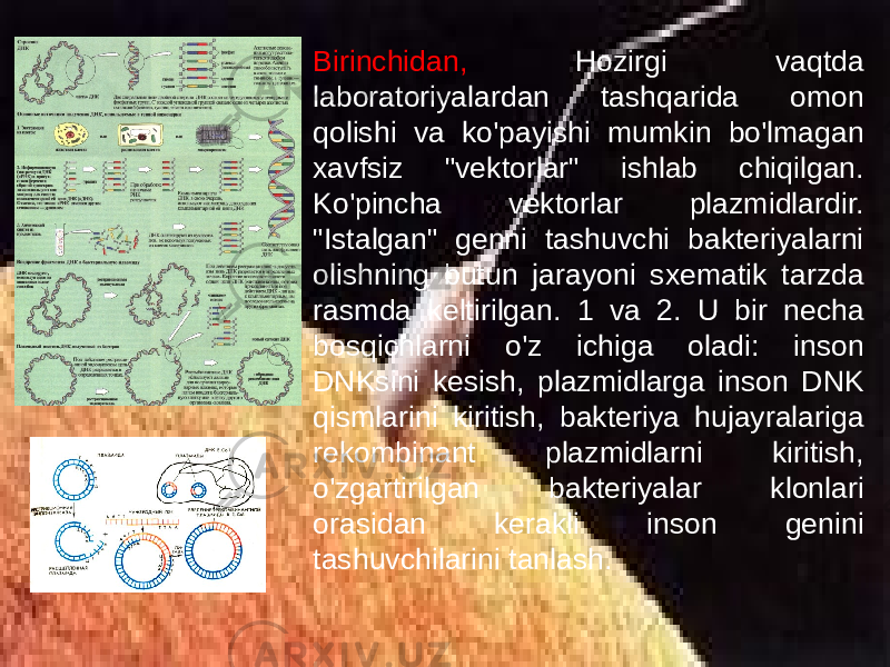 Birinchidan, Hozirgi vaqtda laboratoriyalardan tashqarida omon qolishi va ko&#39;payishi mumkin bo&#39;lmagan xavfsiz &#34;vektorlar&#34; ishlab chiqilgan. Ko&#39;pincha vektorlar plazmidlardir. &#34;Istalgan&#34; genni tashuvchi bakteriyalarni olishning butun jarayoni sxematik tarzda rasmda keltirilgan. 1 va 2. U bir necha bosqichlarni o&#39;z ichiga oladi: inson DNKsini kesish, plazmidlarga inson DNK qismlarini kiritish, bakteriya hujayralariga rekombinant plazmidlarni kiritish, o&#39;zgartirilgan bakteriyalar klonlari orasidan kerakli inson genini tashuvchilarini tanlash. 