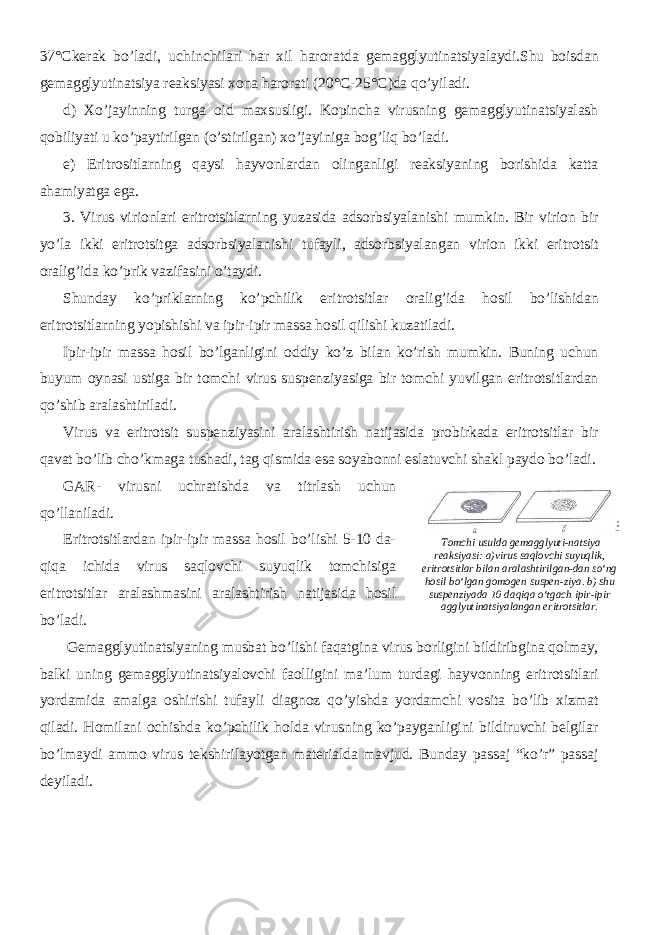 37° С kerak bo’ladi, uchinchilari har xil haroratda gemagglyutinatsiyalaydi.Shu boisdan g emagglyutinatsiya reaksiyasi xona harorati (20 ° С -25° С ) da qo’yiladi. d) Xo’jayinning turga oid maxsusligi. Kopincha virusning gemagglyutinatsiyalash qobiliyati u ko’paytirilgan (o’stirilgan) xo’jayiniga bog’liq bo’ladi. e) Eritrositlarning qaysi hayvonlardan olinganligi reaksiyaning borishida katta ahamiyatga ega. 3. Virus virionlari eritrotsitlarning yuzasida adsorbsiyalanishi mumkin. Bir virion bir yo’la ikki eritrotsitga adsorbsiyalanishi tufayli, adsorbsiyalangan virion ikki eritrotsit oralig’ida ko’prik vazifasini o’taydi. Shunday ko’priklarning ko’pchilik eritrotsitlar oralig’ida hosil bo’lishidan eritrotsitlarning yopishishi va ipir-ipir massa hosil qilishi kuzatiladi. Ipir-ipir massa hosil bo’lganligini oddiy ko’z bilan ko’rish mumkin. Buning uchun buyum oynasi ustiga bir tomchi virus suspenziyasiga bir tomchi yuvilgan eritrotsitlardan qo’shib aralashtiriladi. Virus va eritrotsit suspenziyasini aralashtirish natijasida probirkada eritrotsitlar bir qavat bo’lib cho’kmaga tushadi, tag qismida esa soyabonni eslatuvchi shakl paydo bo’ladi. GAR- virusni uchratishda va titrlash uchun qo’llaniladi. Eritrotsitlardan ipir-ipir massa hosil bo’lishi 5-10 da- qiqa ichida virus saqlovchi suyuqlik tomchisiga eritrotsitlar aralashmasini aralashtirish natijasida hosil bo’ladi. Gemagglyutinatsiyaning musbat bo’lishi faqatgina virus borligini bildiribgina qolmay, balki uning gemagglyutinatsiyalovchi faolligini ma’lum turdagi hayvonning eritrotsitlari yordamida amalga oshirishi tufayli diagnoz qo’yishda yordamchi vosita bo’lib xizmat qiladi. Homilani ochishda ko’pchilik holda virusning ko’payganligini bildiruvchi belgilar bo’lmaydi ammo virus tekshirilayotgan materialda mavjud. Bunday passaj “ko’r” passaj deyiladi . Tomchi usulda gemagglyuti-natsiya reaksiyasi: a)virus saqlovchi suyuqlik, eritrotsitlar bilan aralashtirilgan-dan so‘ng hosil bo‘lgan gomogen suspen-ziya. b) shu suspenziyada 10 daqiqa o‘tgach ipir-ipir agglyutinatsiyalangan eritrotsitlar. 