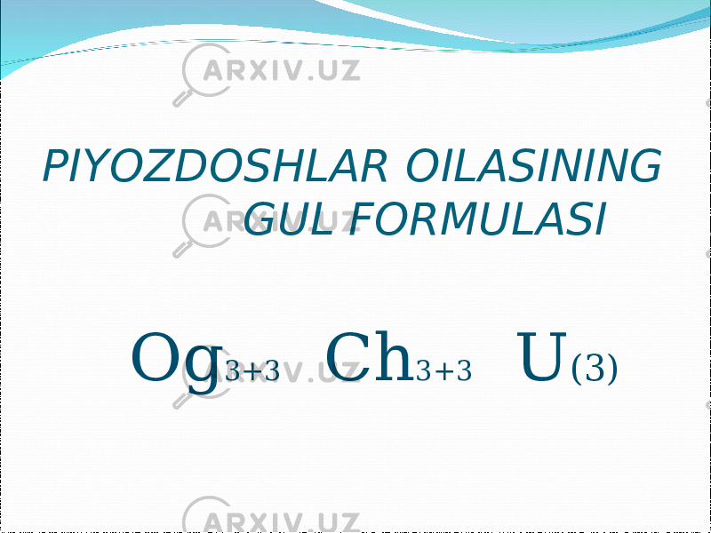 PIYOZDOSHLAR OILASINING GUL FORMULASI Og 3+3 Ch 3+3 U (3) 