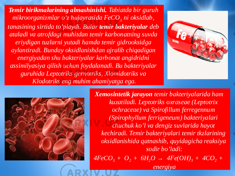 Temir birikmalarining almashinishi. Tabiatda bir guruh mikroorganizmlar o’z hujayrasida FeCO 3 ni oksidlab, tanasining sirtida to’playdi. Bular temir bakteriyalar deb ataladi va atrofdagi muhitdan temir karbonatning suvda eriydigan tuzlarni yutadi hamda temir gidrooksidga aylantiradi. Bunday oksidlanishdan ajralib chiqadigan energiyadan shu bakteriyalar karbonat angidridni assimilyasiya qilish uchun foydalanadi. Bu bakteriyalar guruhida Leptotriks gernotriks, Xlomidotriks va Klodotriks eng muhim ahamiyatga ega . Xemosintetik jarayon temir bakteriyalarida ham kuzatiladi. Leptotriks oxraseae (Leptotrix ochraceae) va Spirofillum ferregennum (Spirophyllum ferrigeneum) bakteriyalari chuchuk ko’l va dengiz suvlarida hayot kechiradi. Temir bakteriyalari temir tkzlarining oksidlanishida qatnashib, quyidagicha reaksiya sodir bo’ladi: 4FeCO 3 + O 2 + 6H 2 O → 4Fe(OH) 3 + 4CO 2 + energiya 