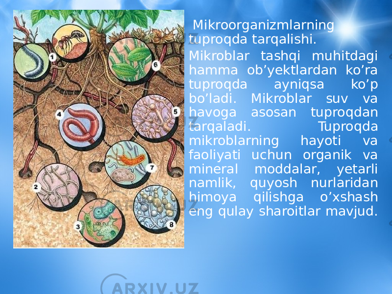 • Mikroorganizmlarning tuproqda tarqalishi. • Mikroblar tashqi muhitdagi hamma ob’yektlardan ko’ra tuproqda ayniqsa ko’p bo’ladi. Mikroblar suv va havoga asosan tuproqdan tarqaladi. Tuproqda mikroblarning hayoti va faoliyati uchun organik va mineral moddalar, yetarli namlik, quyosh nurlaridan himoya qilishga o’xshash eng qulay sharoitlar mavjud. 