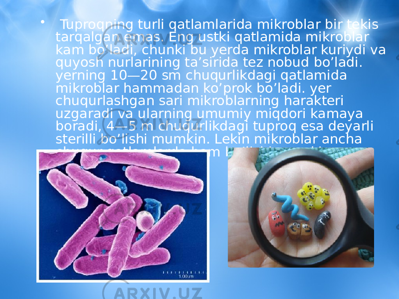 • Tuproqning turli qatlamlarida mikroblar bir tekis tarqalgan emas. Eng ustki qatlamida mikroblar kam bo’ladi, chunki bu yerda mikroblar kuriydi va quyosh nurlarining ta’sirida tez nobud bo’ladi. yerning 10—20 sm chuqurlikdagi qatlamida mikroblar hammadan ko’prok bo’ladi. yer chuqurlashgan sari mikroblarning harakteri uzgaradi va ularning umumiy miqdori kamaya boradi, 4—5 m chuqurlikdagi tuproq esa deyarli sterilli bo’lishi mumkin. Lekin mikroblar ancha chuqur qatlamlarda ham bo’lishi mumkin. 