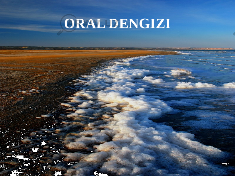 ОRAL DENGIZI 