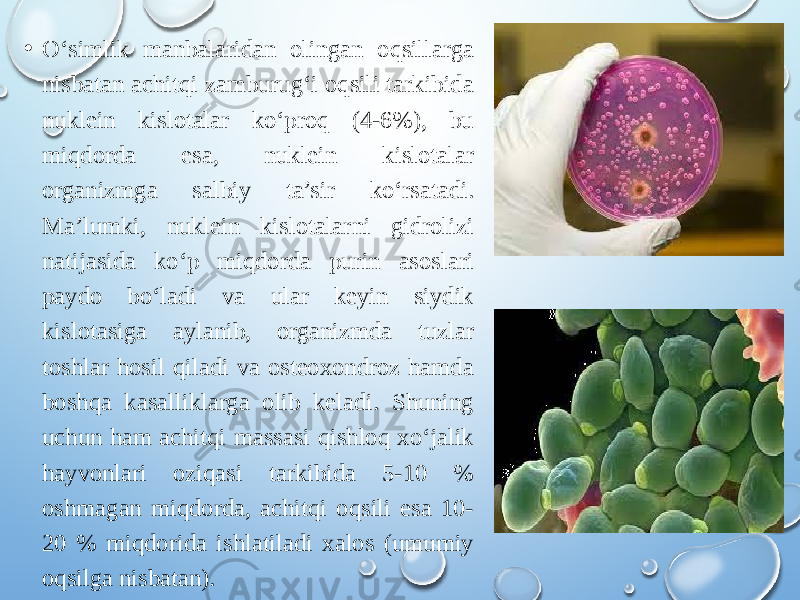 • O‘simlik manbalaridan olingan oqsillarga nisbatan achitqi zamburug‘i oqsili tarkibida nuklein kislotalar ko‘proq (4-6%), bu miqdorda esa, nuklein kislotalar organizmga salbiy ta’sir ko‘rsatadi. Ma’lumki, nuklein kislotalarni gidrolizi natijasida ko‘p miqdorda purin asoslari paydo bo‘ladi va ular keyin siydik kislotasiga aylanib, organizmda tuzlar toshlar hosil qiladi va osteoxondroz hamda boshqa kasalliklarga olib keladi. Shuning uchun ham achitqi massasi qishloq xo‘jalik hayvonlari oziqasi tarkibida 5-10 % oshmagan miqdorda, achitqi oqsili esa 10- 20 % miqdorida ishlatiladi xalos (umumiy oqsilga nisbatan). 