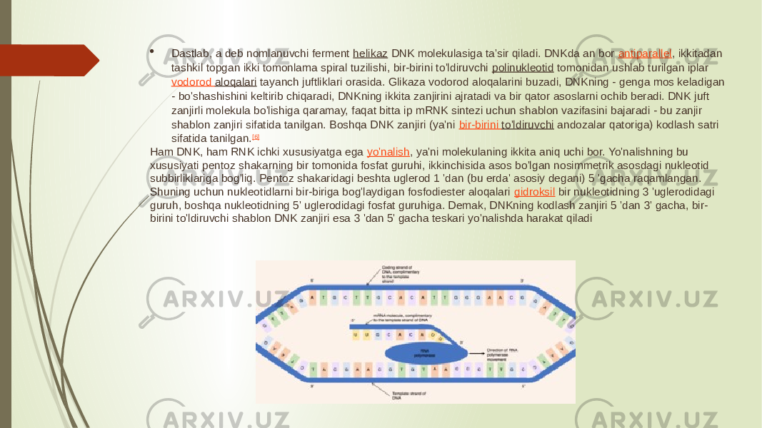  Dastlab, a deb nomlanuvchi ferment  helikaz  DNK molekulasiga ta&#39;sir qiladi. DNKda an bor  antiparallel , ikkitadan tashkil topgan ikki tomonlama spiral tuzilishi, bir-birini to&#39;ldiruvchi  polinukleotid  tomonidan ushlab turilgan iplar  vodorod aloqalari  tayanch juftliklari orasida. Glikaza vodorod aloqalarini buzadi, DNKning - genga mos keladigan - bo&#39;shashishini keltirib chiqaradi, DNKning ikkita zanjirini ajratadi va bir qator asoslarni ochib beradi. DNK juft zanjirli molekula bo&#39;lishiga qaramay, faqat bitta ip mRNK sintezi uchun shablon vazifasini bajaradi - bu zanjir shablon zanjiri sifatida tanilgan. Boshqa DNK zanjiri (ya&#39;ni  bir-birini to&#39;ldiruvchi  andozalar qatoriga) kodlash satri sifatida tanilgan. [6] Ham DNK, ham RNK ichki xususiyatga ega  yo&#39;nalish , ya&#39;ni molekulaning ikkita aniq uchi bor. Yo&#39;nalishning bu xususiyati pentoz shakarning bir tomonida fosfat guruhi, ikkinchisida asos bo&#39;lgan nosimmetrik asosdagi nukleotid subbirliklariga bog&#39;liq. Pentoz shakaridagi beshta uglerod 1 &#39;dan (bu erda&#39; asosiy degani) 5 &#39;gacha raqamlangan. Shuning uchun nukleotidlarni bir-biriga bog&#39;laydigan fosfodiester aloqalari  gidroksil  bir nukleotidning 3 &#39;uglerodidagi guruh, boshqa nukleotidning 5&#39; uglerodidagi fosfat guruhiga. Demak, DNKning kodlash zanjiri 5 &#39;dan 3&#39; gacha, bir- birini to&#39;ldiruvchi shablon DNK zanjiri esa 3 &#39;dan 5&#39; gacha teskari yo&#39;nalishda harakat qiladi 