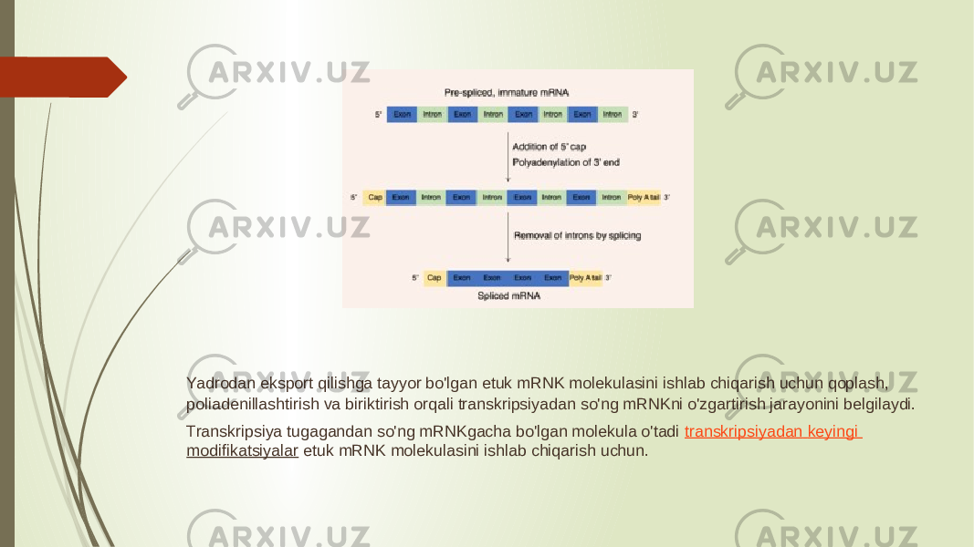 Yadrodan eksport qilishga tayyor bo&#39;lgan etuk mRNK molekulasini ishlab chiqarish uchun qoplash, poliadenillashtirish va biriktirish orqali transkripsiyadan so&#39;ng mRNKni o&#39;zgartirish jarayonini belgilaydi. Transkripsiya tugagandan so&#39;ng mRNKgacha bo&#39;lgan molekula o&#39;tadi  transkripsiyadan keyingi modifikatsiyalar  etuk mRNK molekulasini ishlab chiqarish uchun. 