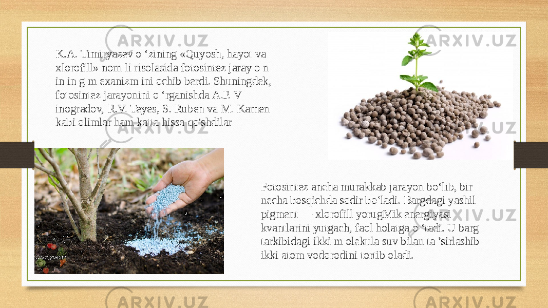 K.A. Timiryazev o ‘zining «Quyosh, hayot va xlorofill» nom li risolasida fotosintez jaray o n in in g m exanizm ini ochib berdi. Shuningdek, fotosintez jarayonini o ‘rganishda A.P. V inogradov, R.V. Teyes, S. Ruben va M. Kamen kabi olimlar ham katta hissa qo&#39;shdilar Fotosintez ancha murakkab jarayon bo‘lib, bir necha bosqichda sodir bo‘ladi. Bargdagi yashil pigment — xlorofill yorugMik energiyasi kvantlarini yutgach, faol holatga o ‘tadi. U barg tarkibidagi ikki m olekula suv bilan ta ’sirlashib ikki atom vodorodini tortib oladi. 