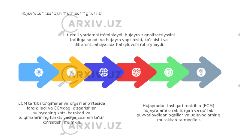 Hujayradan tashqari matritsa (ECM) hujayralarni o&#39;rab turgan va qo&#39;llab- quvvatlaydigan oqsillar va uglevodlarning murakkab tarmog&#39;idir.U tizimli yordamni ta&#39;minlaydi, hujayra signalizatsiyasini tartibga soladi va hujayra yopishishi, ko&#39;chishi va differentsiatsiyasida hal qiluvchi rol o&#39;ynaydi.Hujayradan tashqari matritsaning tarkibi ECM tarkibi to&#39;qimalar va organlar o&#39;rtasida farq qiladi va ECMdagi o&#39;zgarishlar hujayraning xatti-harakati va to&#39;qimalarining funktsiyasiga sezilarli ta&#39;sir ko&#39;rsatishi mumkin. 