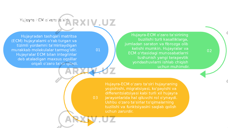 Hujayra-ECM o&#39;zaro ta&#39;siri Hujayradan tashqari matritsa (ECM) hujayralarni o&#39;rab turgan va tizimli yordamni ta&#39;minlaydigan murakkab molekulalar tarmog&#39;idir. Hujayralar ECM bilan integrinlar deb ataladigan maxsus oqsillar orqali o&#39;zaro ta&#39;sir qiladi. 01 Hujayra-ECM o&#39;zaro ta&#39;siri hujayraning yopishishi, migratsiyasi, ko&#39;payishi va differentsiatsiyasi kabi turli xil hujayra jarayonlarida hal qiluvchi rol o&#39;ynaydi. Ushbu o&#39;zaro ta&#39;sirlar to&#39;qimalarning tuzilishi va funktsiyasini saqlab qolish uchun zarurdir.03 Hujayra-ECM o&#39;zaro ta&#39;sirining buzilishi turli kasalliklarga, jumladan saraton va fibrozga olib kelishi mumkin. Hujayralar va ECM o&#39;rtasidagi munosabatlarni tushunish yangi terapevtik yondashuvlarni ishlab chiqish uchun muhimdir. 02 